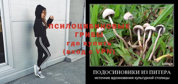 герыч Белокуриха