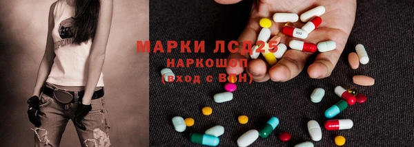 стаф Аркадак
