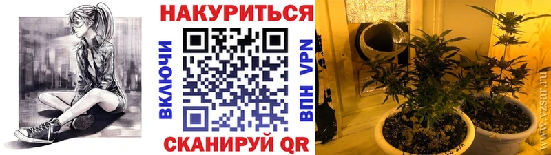 Канабис VHQ  Верхняя Тура 